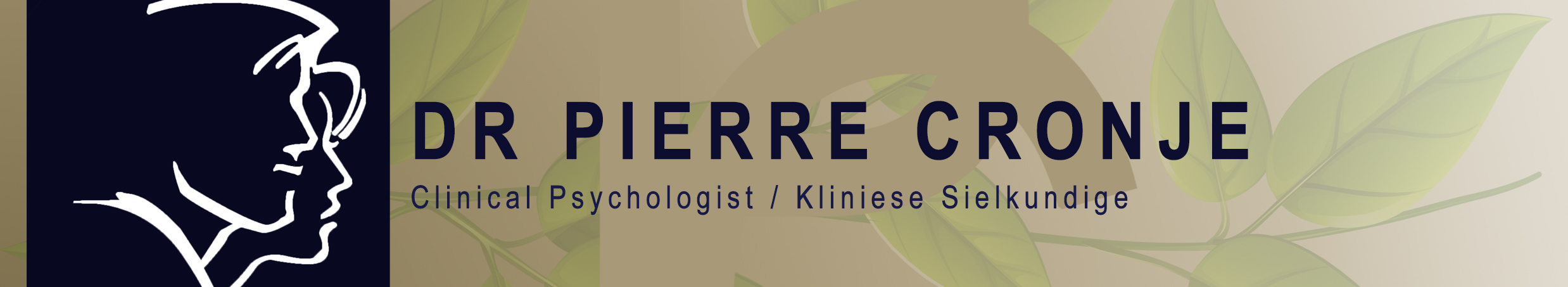 Dokter Doctor Pierre Cronje Sielkundige Psychologist Garsfontein Abuse Stress Emotional Bad Habits Psychological Problems